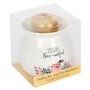 Bee Wax Melt Ceramic Burner Gift Set, thumbnail 6 of 6