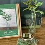 Leaf Stems Beaded Craft Kit, thumbnail 3 of 4