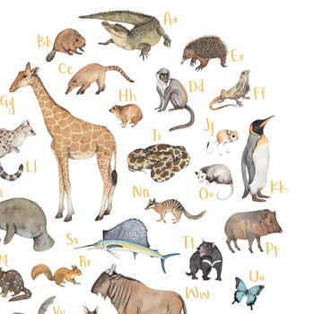 Animal Alphabet Personalised Print Unframed, 4 of 7