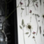 A3 Pressed Flower Art Botanical Wall Art In Black Frame, thumbnail 4 of 7