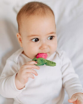 100 % Natural Rubber Fruit And Vegetable Teether, 2 of 7