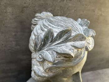 38cm Grey Female Bust Statue Elegant Lady Head Decor, 11 of 12