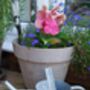 Watering Can Zinc One.6 L, thumbnail 4 of 4