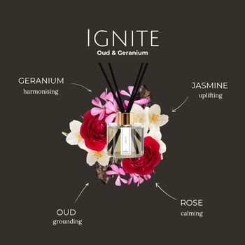 Long Lasting Luxury Reed Diffuser | Up To Six Months | Alcohol Free | Essential Oils | Rose Gold, Gold Or Silver, 7 of 12