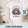 Poodle Face Baby Onesie, thumbnail 1 of 6