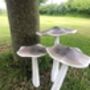 Set Of Three White Wooden Toadstools, thumbnail 1 of 7