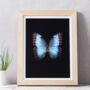 Butterfly Photographic Print, thumbnail 4 of 4