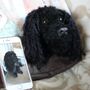 Personalised Crocheted Dog Head Bag Charm Keyring, thumbnail 11 of 12