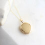 9ct Solid Gold Oval Locket Necklace, thumbnail 4 of 8