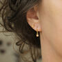 Aurora Borealis Crystal Drop Charm Earrings, thumbnail 4 of 8