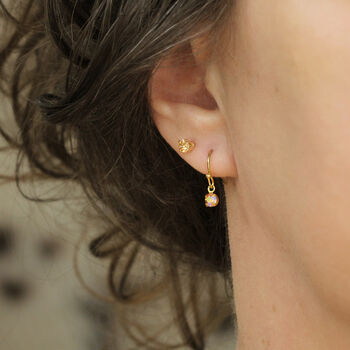 Aurora Borealis Crystal Drop Charm Earrings, 4 of 8