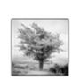 Tree I, Exmoor Photographic Art Print, thumbnail 3 of 4