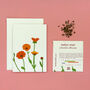 Welsh Pot Marigold Illustrated Card With Seeds, thumbnail 4 of 6