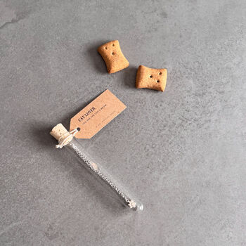 Paw Charm Sterling Silver Bracelet, 9 of 11