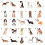 'Dogs Make Our Lives Whole' Dog Tin 80 Breeds Available, thumbnail 4 of 10