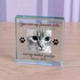 'You Were My Favourite…' Pet Memory Photo Glass Token, thumbnail 2 of 2