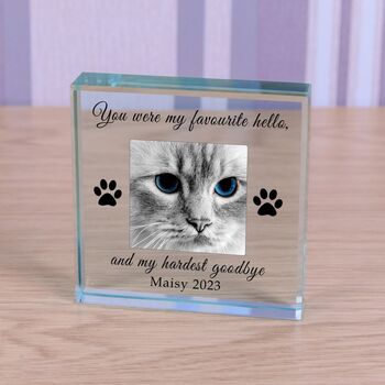 'You Were My Favourite…' Pet Memory Photo Glass Token, 2 of 2