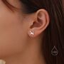Cute Dog Stud Earrings In Sterling Silver, thumbnail 1 of 12