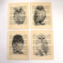 Owl Screen Print On Vintage Sheet Music, thumbnail 5 of 6