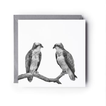 Osprey Perched Wildlife Greeting Card, 2 of 6