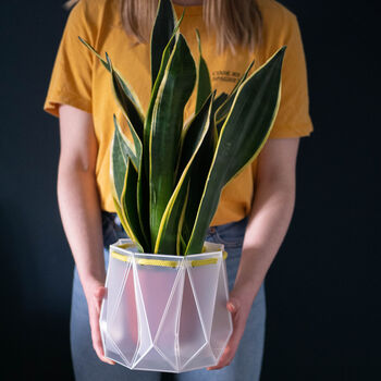 Origami Self Watering Eco Plant Pot: 18cm | Celery Cord, 7 of 9