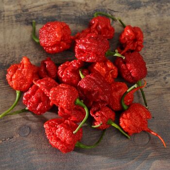 Chilli Plants 'Carolina Reaper' 1x Plant In 9cm Pot, 5 of 9