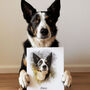 Personalised Watercolour Pet Illustration Portrait, thumbnail 6 of 12