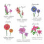 Personalised Birth Month Flower Card, thumbnail 4 of 4