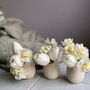 Petite Spring Flower Bud Vase Gift Box, thumbnail 11 of 12