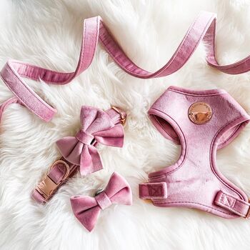 Pink Velvet Dog Harness, 2 of 5