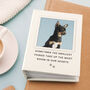 Personalised Pet Album, thumbnail 1 of 7