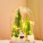 Christmas Terrarium Kit, Glass Dome With Fairy Lights, thumbnail 3 of 8