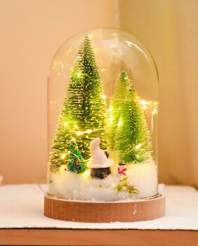 Christmas Terrarium Kit, Glass Dome With Fairy Lights, 3 of 8