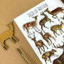 Deer Of Britain Watercolour Postcard, thumbnail 5 of 10