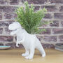 T Rex Planter, thumbnail 1 of 2