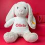 Personalised Steiff Hoppie Rabbit Large Soft Toy, thumbnail 1 of 6