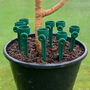 Eight Bottle Irrigation Spikes And Watering Nozzle Kit, thumbnail 3 of 8