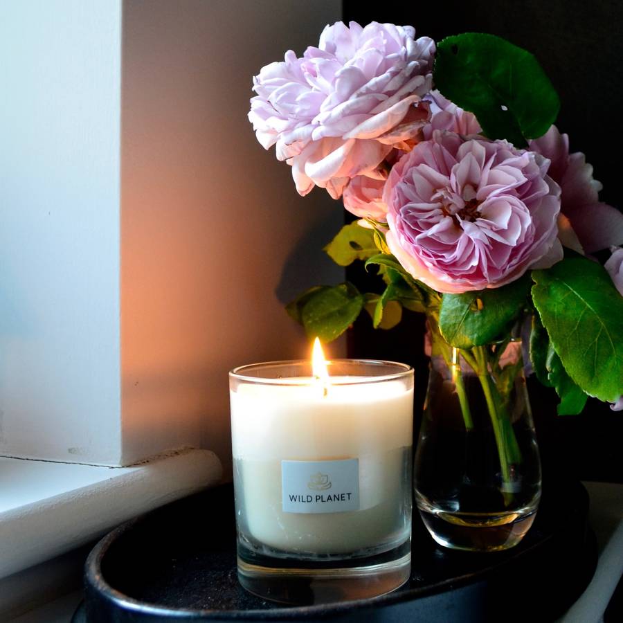 Best Candle Aroma at Bertha Prater blog