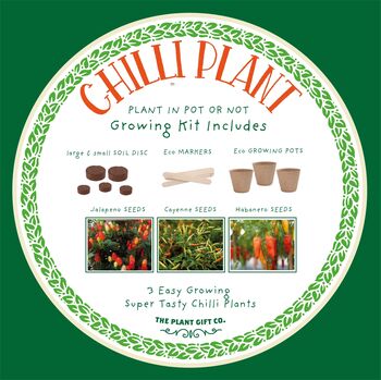 Red Hot Chilli's Eco Grow Your Chilli Plant, 5 of 9