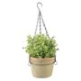Hanging Terracotta Flower Pot W/ Metal Holder Planter, thumbnail 1 of 2