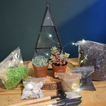 Black Pyramid Terrarium Kit With Succulent Or Cactus, 9 of 12