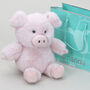 Mini Pig Soft Toy With Gift Bag, thumbnail 1 of 4
