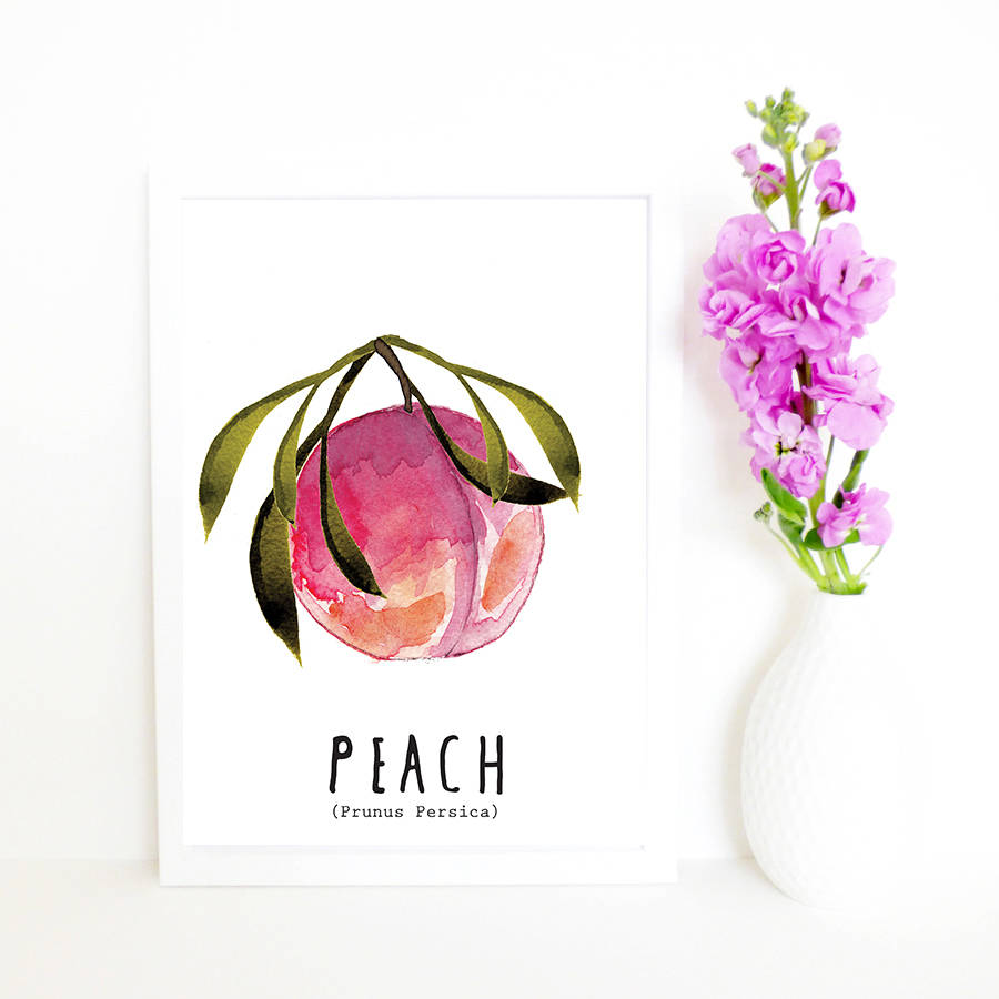 watercolour peach eco art print by studio noodles