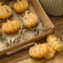 Pumpkin Spice Wax Melts Box, thumbnail 4 of 7