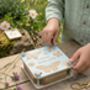Personalised Engraved Butterfly Flower Press, thumbnail 2 of 7