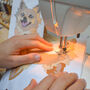 Textile Pet Portrait, thumbnail 10 of 12