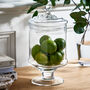 Ivybridge Decorative Glass Jar With Lid, thumbnail 1 of 6