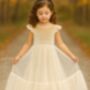 Noel In Champagne ~ Party Or Flower Girl Dress, thumbnail 1 of 3