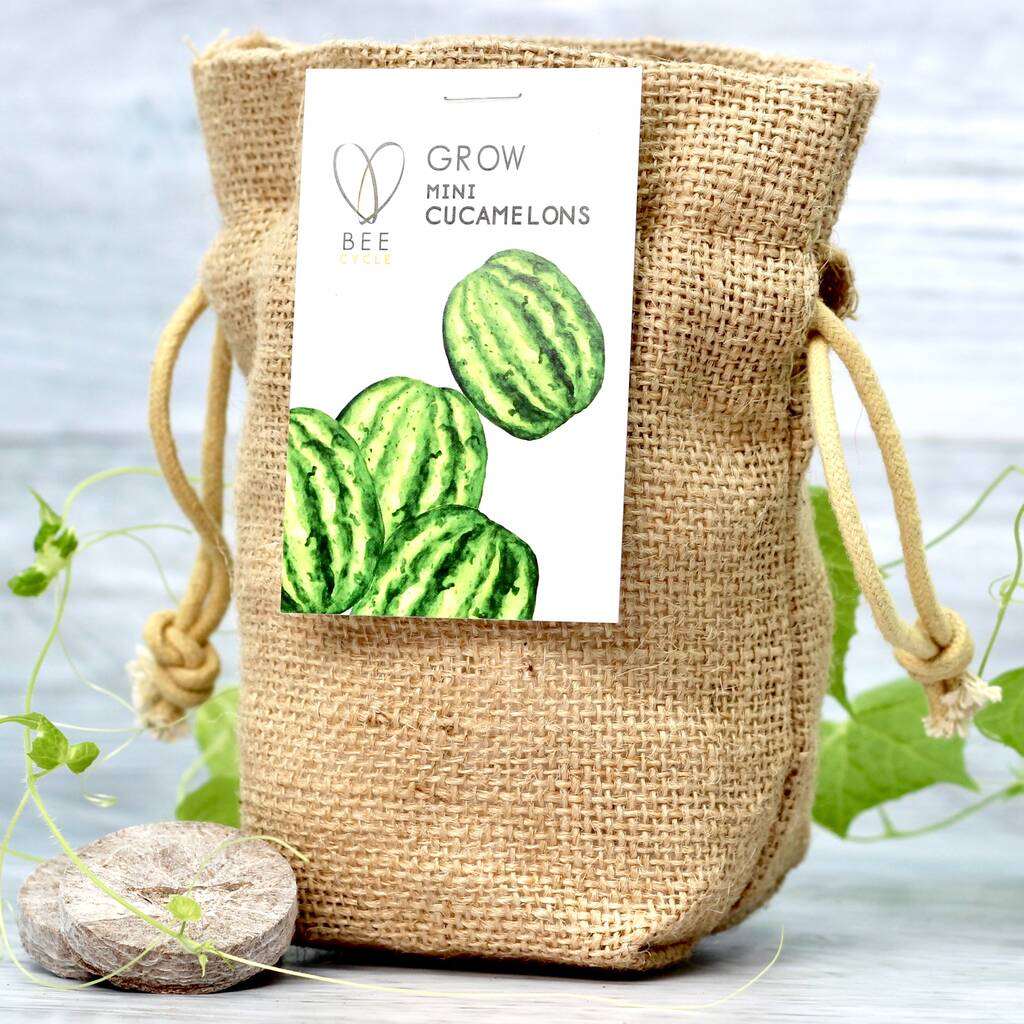 Grow Your Own Mini Melons Set, 1 of 9