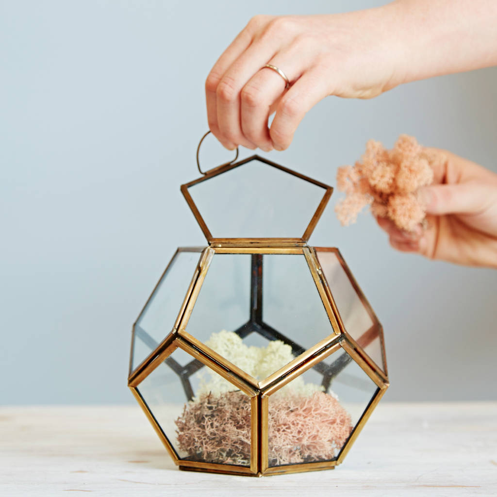 Image of Geometric Glass Pentagonal Succulent Terrarium